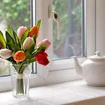 3 Bed In Oc-w424 Holiday home